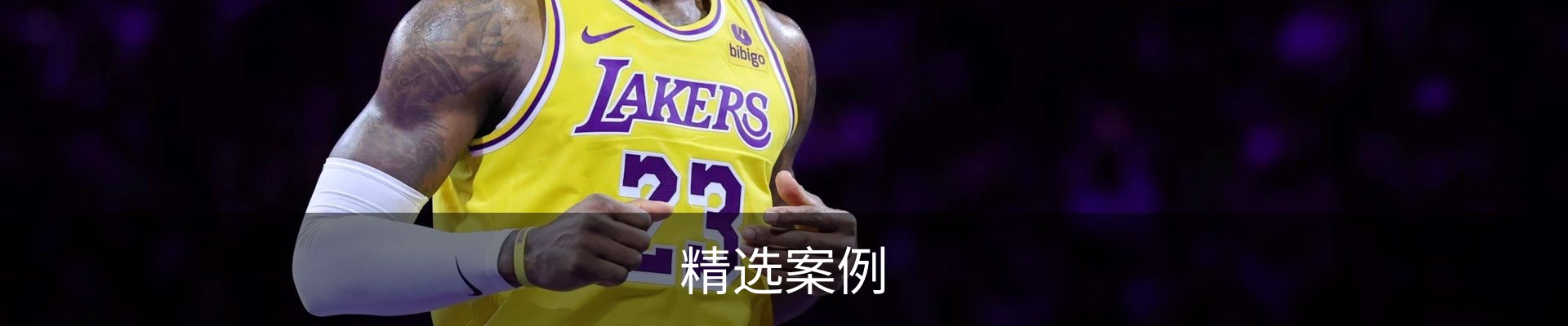 精选案例